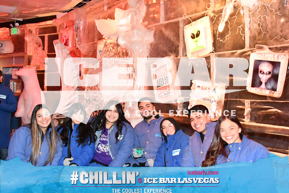 icebar_20241115130037_9525