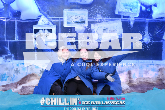 icebar_20231128152927_5799